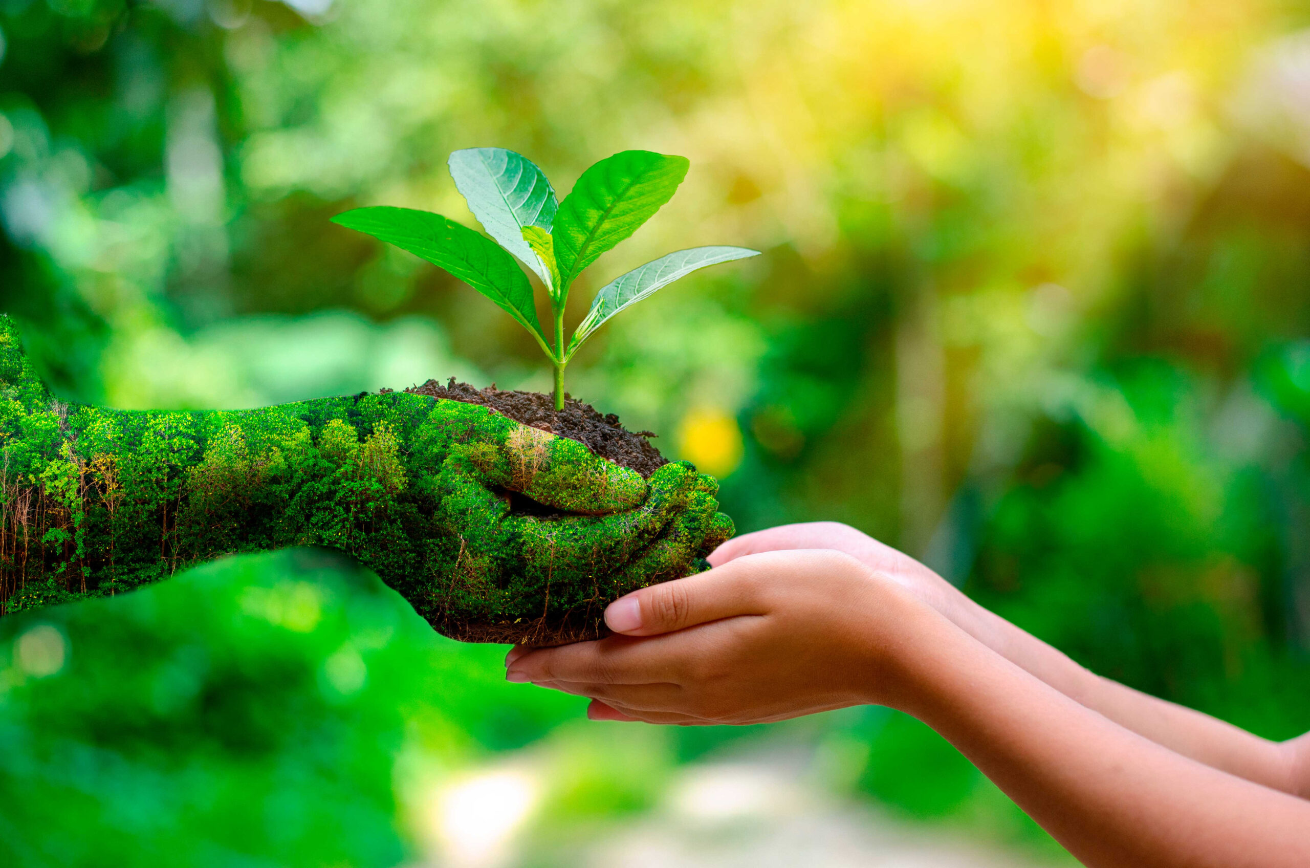 Maintenance & technical support